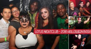 lotusfeat