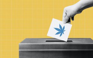 marijuana legalization 