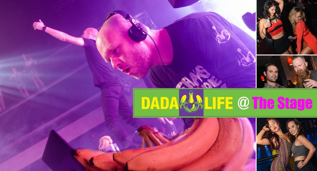 dadalife-feature2