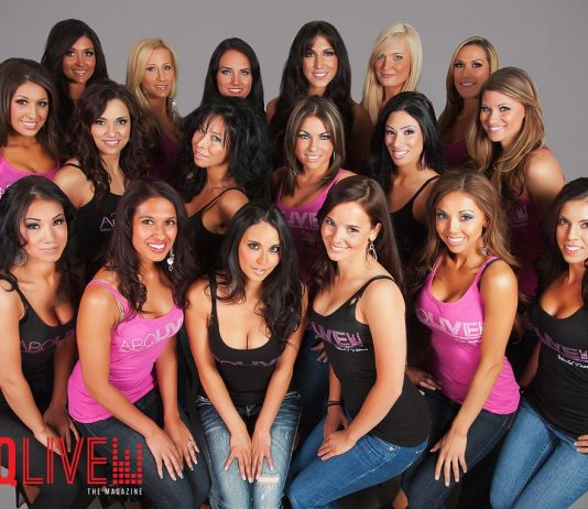 Meet the Team