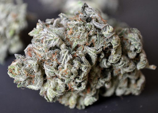 Gorilla Glue Gorilla Glue