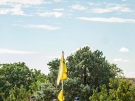 Swing for the Green – NM Cann – 09/23/2022