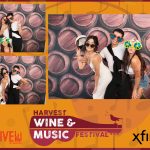 Wine and Music Fest